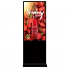 DSS DM-DK-43HD ЖК-монитор киоск Full-HD, 43'', 16:9