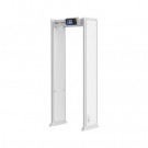 DSS DDI-ISC-D733-S2 33-зонный арочный металлодетектор, дисплей 7''