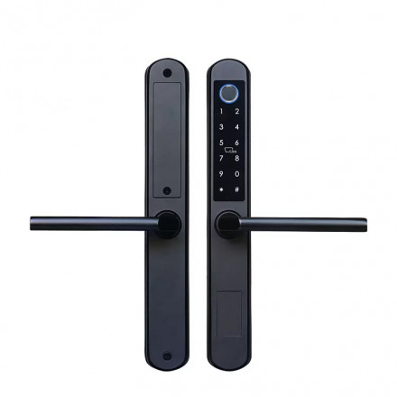 DSS DD5 дистанционный умный алюминиевый замок с отпечатками пальцев