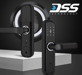 Умные электронные замки DSS