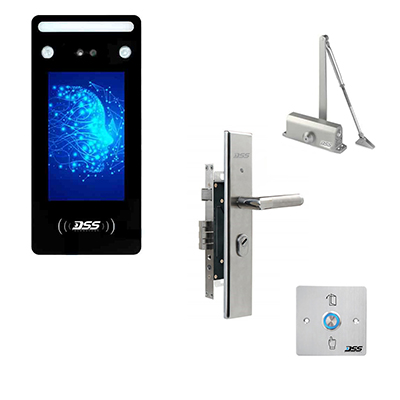 Расширение ассортимента DSS в 2024 году