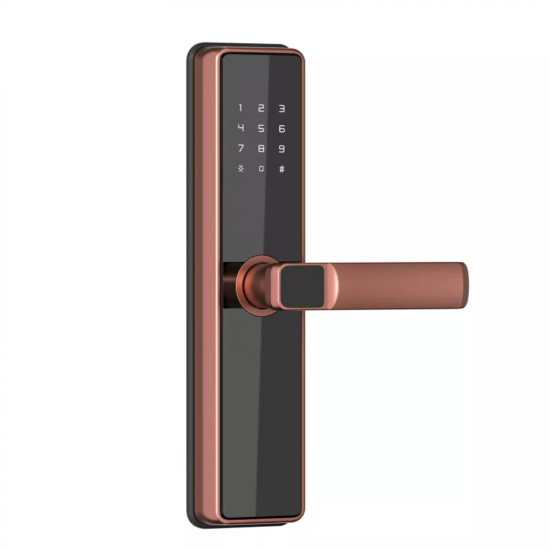 DSS DB2 smart  замок